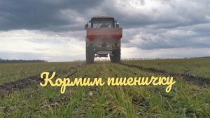 Первая подкормка озимой пшеницы..