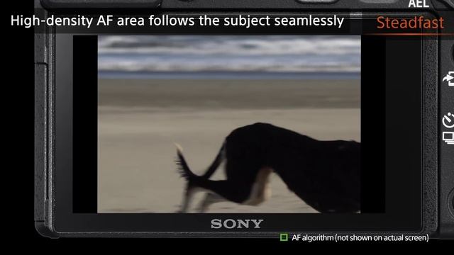 Sony Alpha 6300 смотреть онлайн