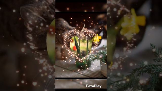 С добрым утром, счастливой вам весны 💞💞💞 смотреть онлайн