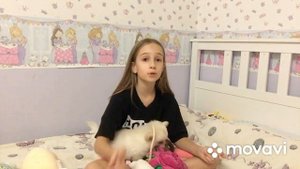 Как приучить собаку к пелёнке??