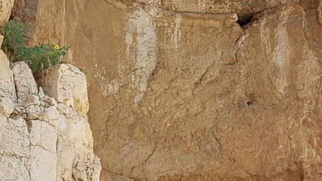 БААЛЬБЕК: ТАК КРЕПИЛИСЬ ОГРОМНЫЕ КАМЕННЫЕ ПОТОЛКИ ЭТАЖЕЙ смотреть онлайн