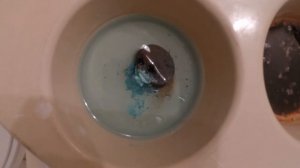 Penny in Bleach Makes Copper (II) Chloride