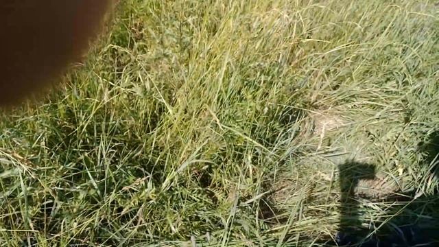 Восстановление заросшего водоёма- до конца пока дело не довёл смотреть онлайн