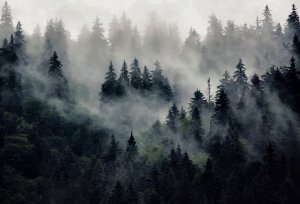 ЦАРЬ ВОДОПАД.  Тункинская Долина. Восточные Саяны