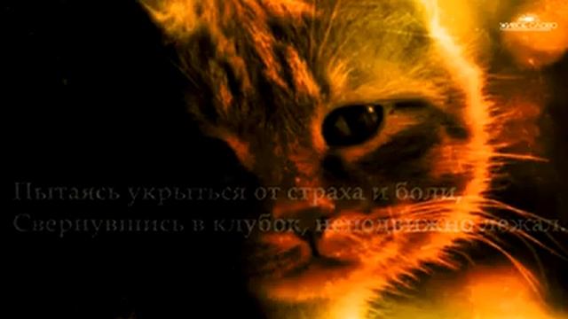 Стихотворение уродливый кот