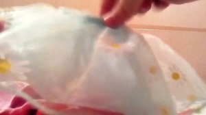 Полёт на самолёте с Джулей / чемодан для собачки лаки догги.
