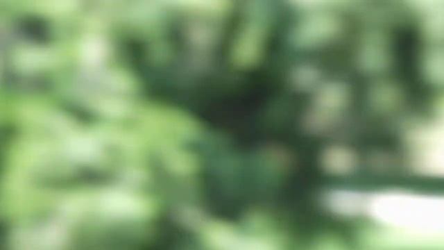 видеотест фотокамеры fujifilm S2500HD Херсон смотреть онлайн