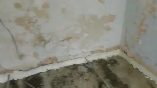 Альянс Строй. Ремонт квартиры Беленца 17. Ремонт ванных комнат. смотреть онлайн