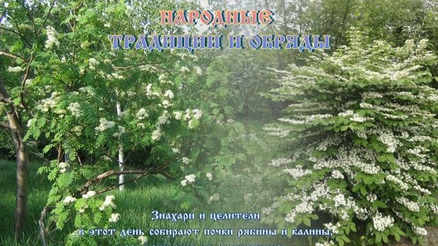 День пасечника на Пудов день смотреть онлайн
