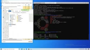 Windows Subsystem Linux (WSL). Файловая система и заключение