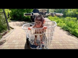 Люся учится ЗАЛЕЗАТЬ НА ВЕЛОСИПЕД и с удовольствием путешествует по парку!