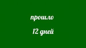 подготовка пчел к зимовке в конце сентября - осенние работы на пасеке