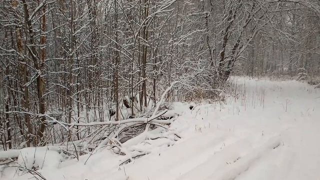 зима