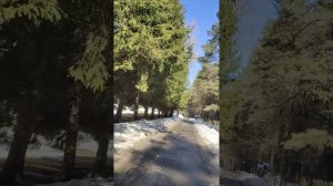 Атлас -Парк отель в Судаково.Подмосковье