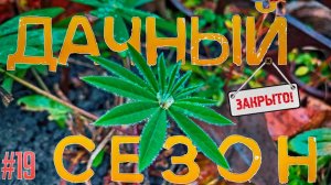 #19 ЗАКРЫТИЕ СЕЗОНА. ОДЖАХУРИ НА КОСТРЕ. Купили советскую дачу