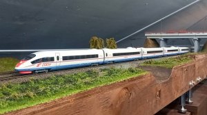 Сапсан 6 вагонный 2 моторный
