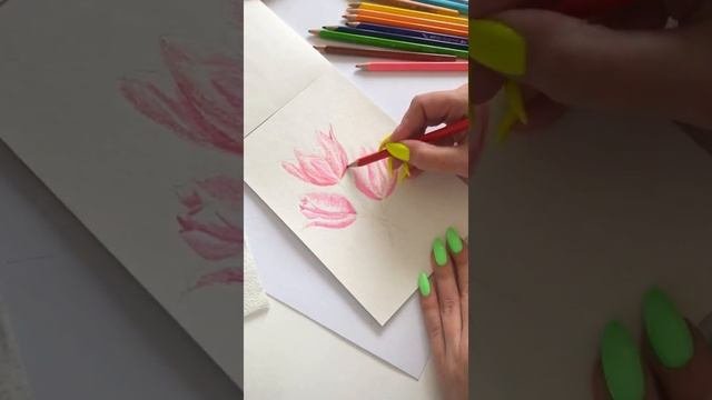 Рисуем тюльпаны акварельными карандашами