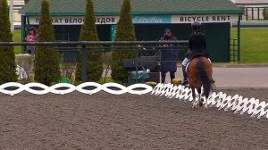 Первенство России по выездке пони ППД В 69,2% Федорова Полина и Люкс