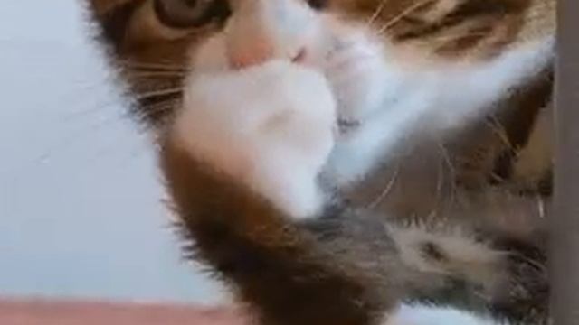 11 ноября 2023 г. смотреть онлайн