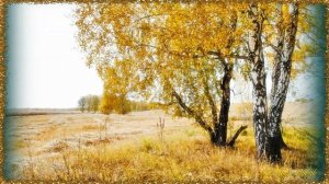 Вероника Агапова   Две березки