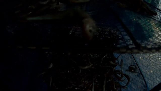 Что нужно приготовить для рыбалки на КАМБАЛУ.