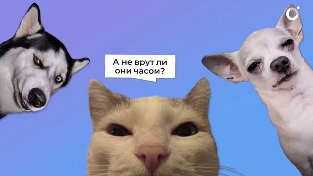 Инопланетяне существуют?