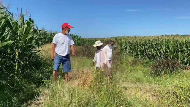 ILOCOS VLOG 2022 | PART 1 | FIONA SANTOS 87 смотреть онлайн