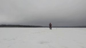 КАК ЛОВИТЬ СУДАКА ЗИМОЙ НА ВИБЫ MARVIE, TsuYoki, НАРВАЛ с ПРАКТИК 6S. и программой ACTIVE CAPTAIN.