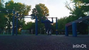 Отжимания по голтису