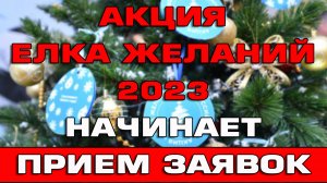 Елка желаний начинает приём заявок 2023