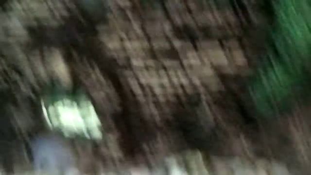 Мальки гуппи отсаженые в маленький аквариум
