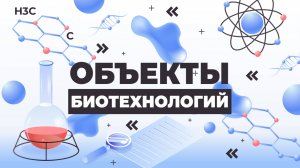 Объекты биотехнологий. Тема №5_Бактерии в качестве объекта биотехнологии