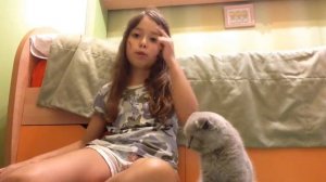 Мне купили котенка