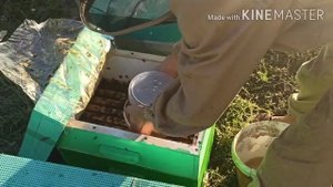 Закорм пчëл в зиму вëдрами, калифорнийская крыша  в восьмирамочном улье.