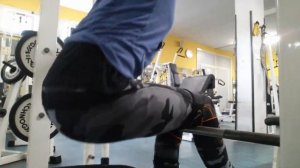 Sissy squat Приседания Сисси