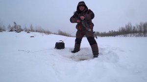 Как поймать живца зимой или быстрая ловля живца для жерлиц.