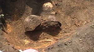 Осетровский плацдарм раскопки 11 мая 2018г