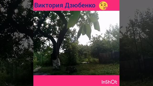 Пранки над друзьями весело посмиялись😘👍😂 смотреть онлайн
