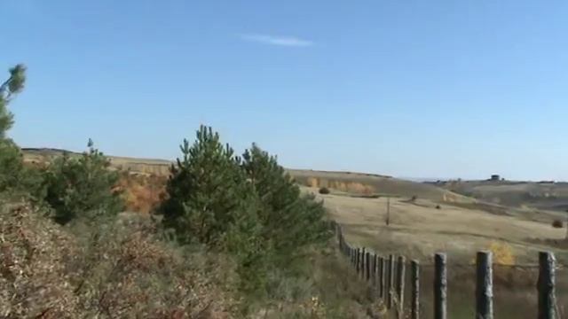 сбор грибов на своём участке смотреть онлайн