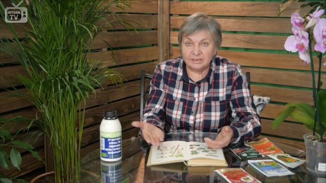 Вредители смородины Чем обрабатывать смородину весной и Советы от эксперта Хитсад смотреть онлайн