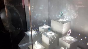 Такие музеи бывают? Музей естественных наук в Хьюстоне.