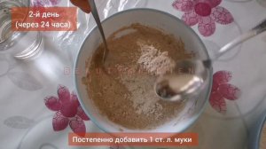РЖАНАЯ ЗАКВАСКА для ДОМАШНЕГО, ВКУСНОГО И ПОЛЕЗНОГО БЕЗДРОЖЖЕВОГО ХЛЕБА