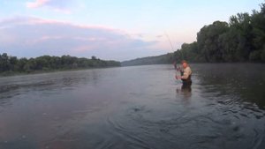 ЛУЧШИЕ КРЕНКИ НА ГОЛАВЛЯ И ЖЕРЕХА !