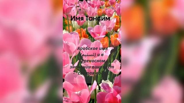 Красивые мусульманские имена для девочек #значениеимени #мусульманскиеимена #женскиеимена #2023