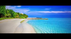 Maldives Summer Hits 2022  Best of Tropical Relax Music Chill Out