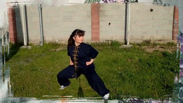Видео-урок по ушу. Закрепление базовых основ техники стиля нань цюань. ФТУКР