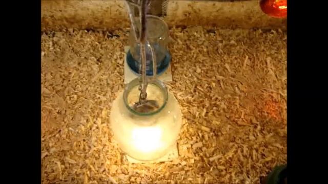 БРУДЕР ДЛЯ ЦЫПЛЯТ БРОЙЛЕРОВ смотреть онлайн