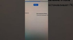 Что делать  слетела прошивка iPhone     ошибка (-1)