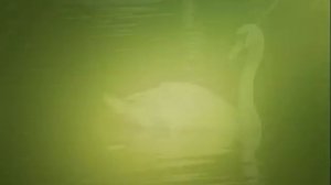 Остановись мгновение   Геннадий Ткаченко-Папиж