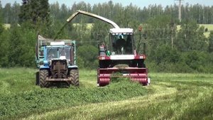 Новости от 09.07.2024 г. г.Янаул